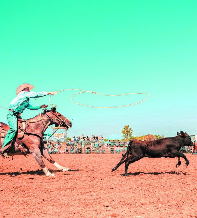 A roper competing at the World's Oldest Rodeo